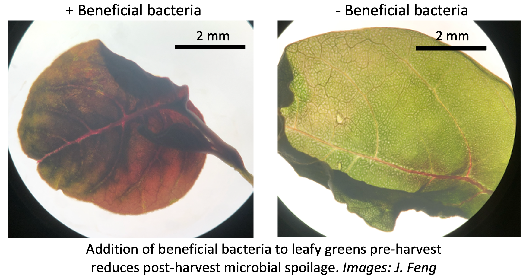 research-image